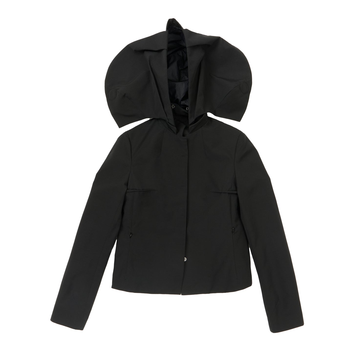 Dumbo Jacket